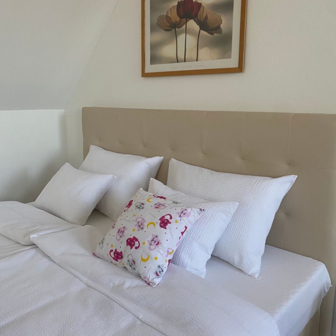 Rosa Katzenkissen - 40x40 cm