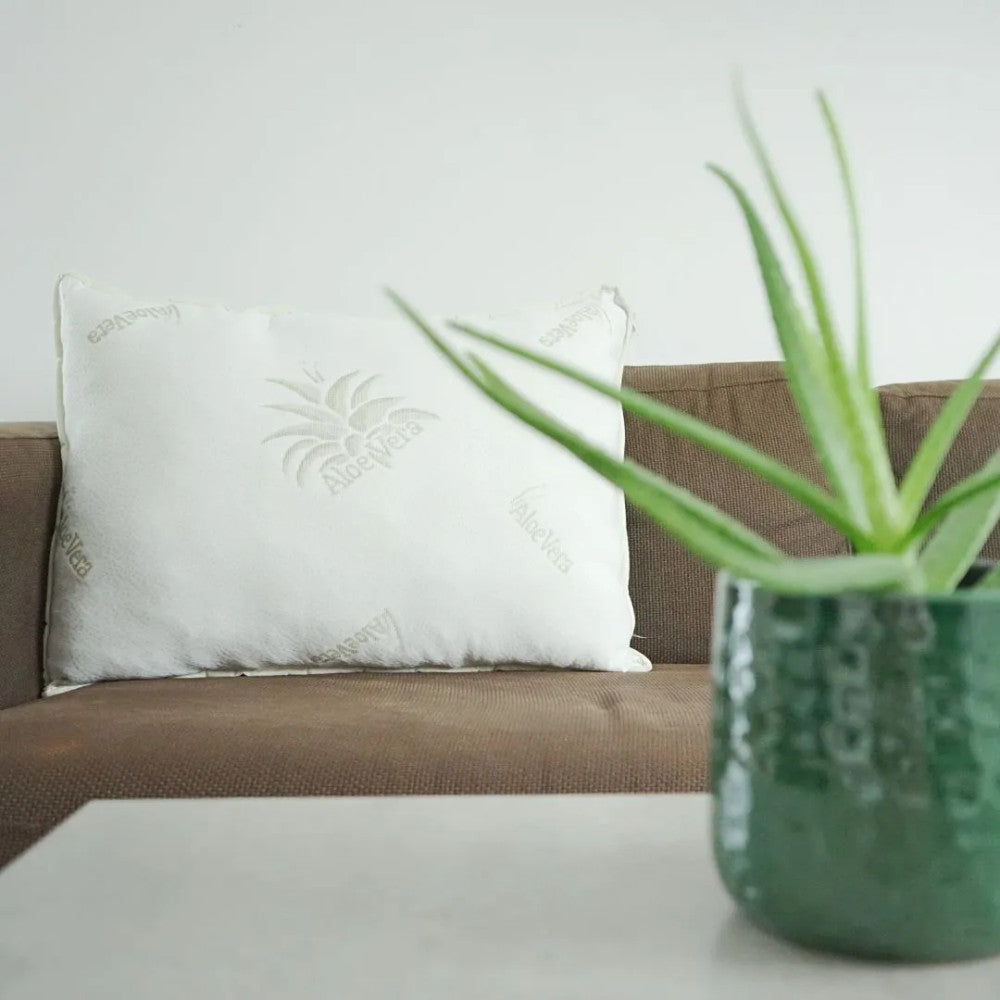 Aloe Vera 1 Stück Halbkissen - Härtegrad einstellbar