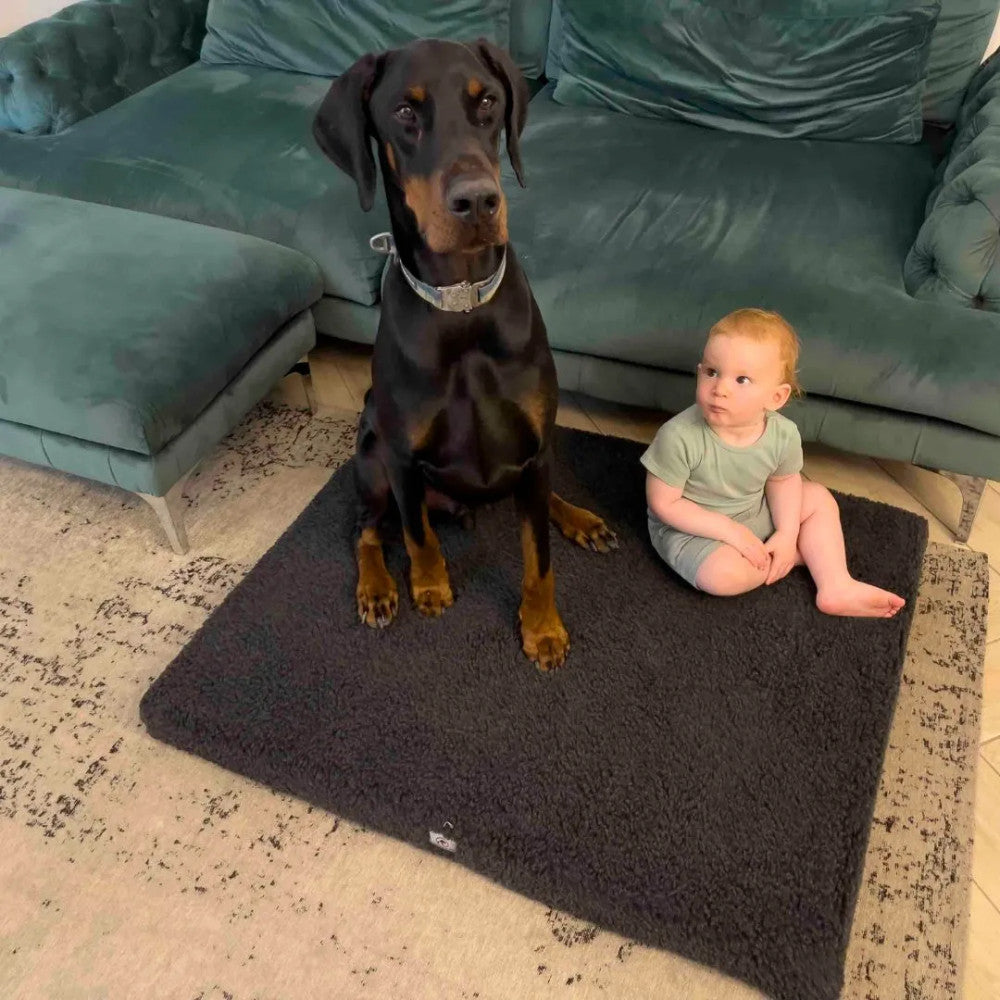 Hugo - furry dog bed (mattress)