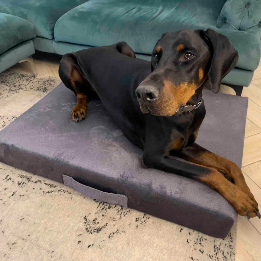 Premium mattress dog bed - Beige