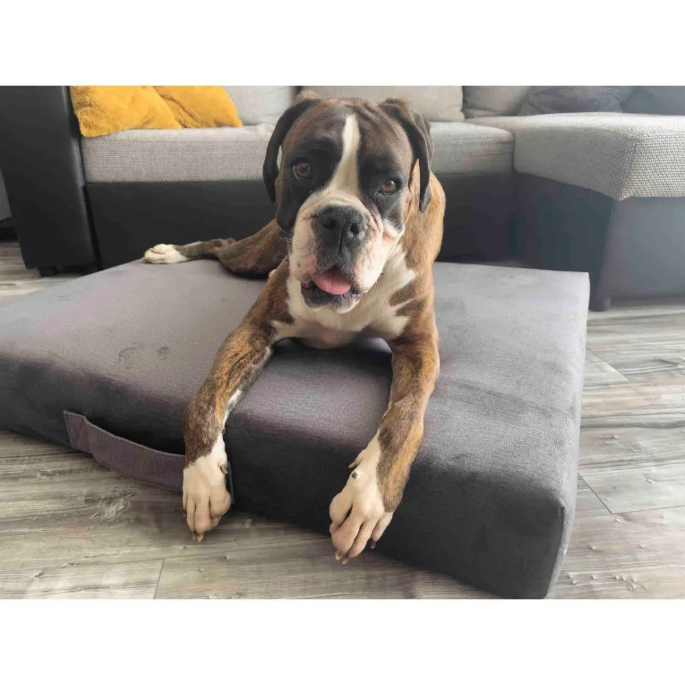 Premium Mattress Dog Bed - Gray