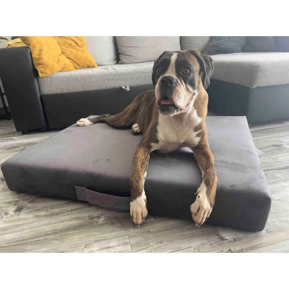 Premium Mattress Dog Bed - Gray