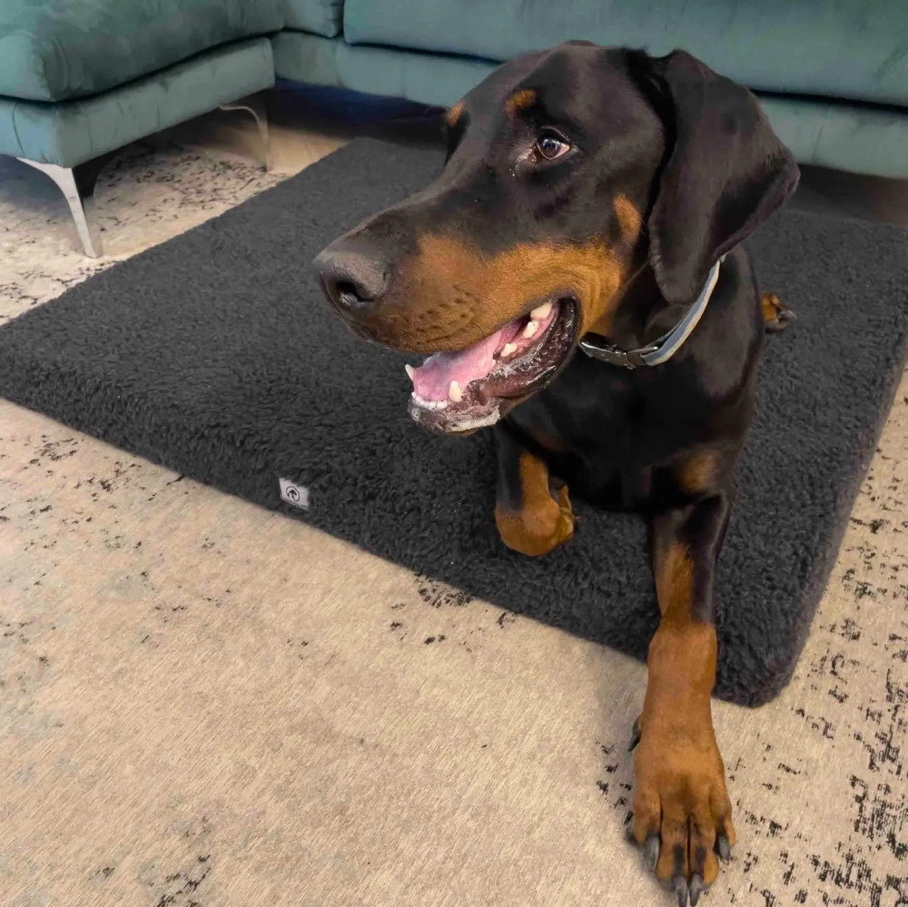 Hugo - furry dog ​​bed (mattress)