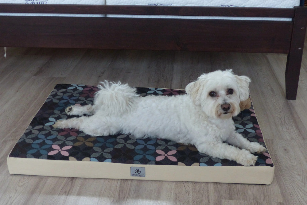 Magic - Memory dog ​​mattress - XL