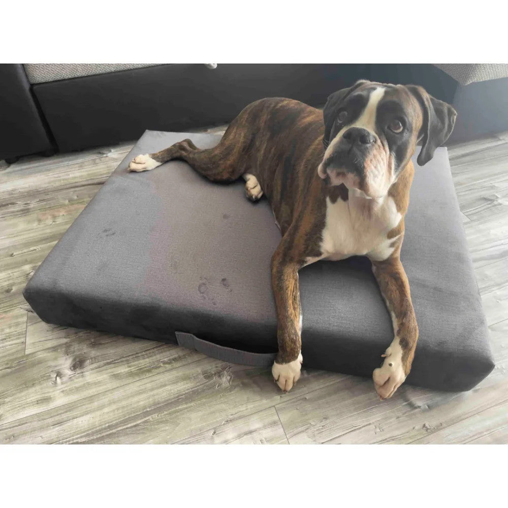 Premium mattress dog bed - Beige