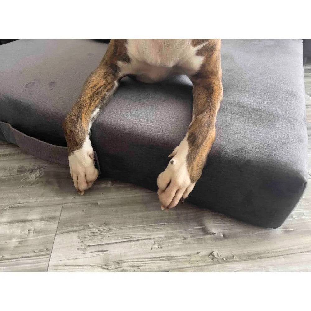 Premium Mattress Dog Bed - Gray
