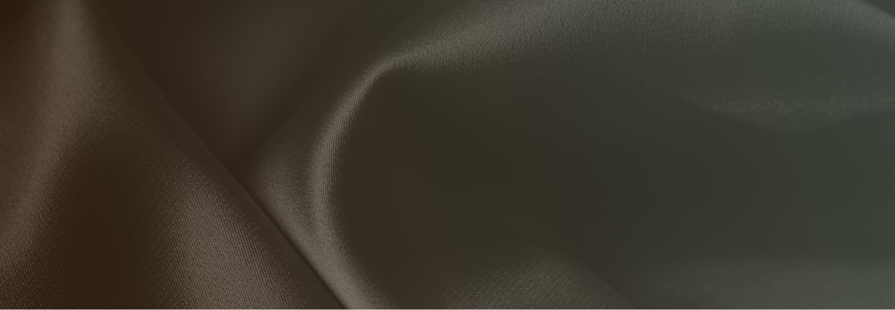 Background of style by category section